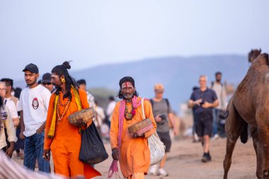 Puşkar, Rajasthan, Hindistan - 10 Kasım 2024: Geleneksel giysili bir rajasthani erkeğinin portresi çöl panayırında deve fuarı sırasında deve ticareti yaparken.