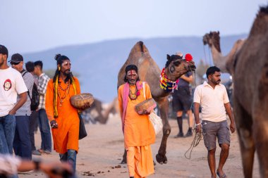 Puşkar, Rajasthan, Hindistan - 10 Kasım 2024: Geleneksel giysili bir rajasthani erkeğinin portresi çöl panayırında deve fuarı sırasında deve ticareti yaparken.
