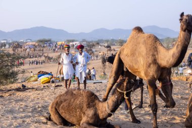 Pushkar, Rajasthan, India - November 10, 2024: Portrait of a rajasthani men in traditional clothes at desert fairground during the pushkar camel fair for trading camels.