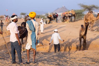 Pushkar, Rajasthan, India - November 10, 2024: Portrait of a rajasthani men in traditional clothes at desert fairground during the pushkar camel fair for trading camels.