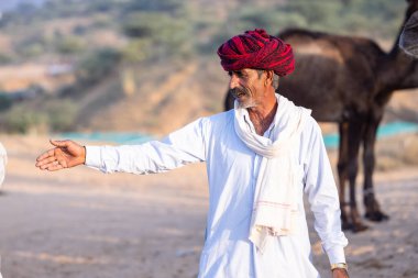Pushkar, Rajasthan, India - November 10, 2024: Portrait of a rajasthani male in traditional clothes and colourful turban at desert fairground during the pushkar camel fair for trading camels.