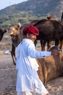 Pushkar, Rajasthan, India - November 10, 2024: Portrait of a rajasthani male in traditional clothes and colourful turban at desert fairground during the pushkar camel fair for trading camels.