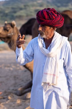 Pushkar, Rajasthan, India - November 10, 2024: Portrait of a rajasthani male in traditional clothes and colourful turban at desert fairground during the pushkar camel fair for trading camels.
