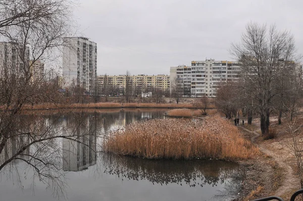 Autumn lake in the city and tree branch. Soviet buildings in Kyiv, Ukraine and bare trees