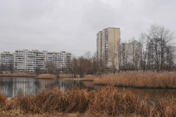 Autumn lake in the city and tree branch. Soviet buildings and bare trees. City scape.