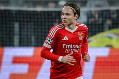 Torino, İtalya. 29 Ocak 2025. UEFA Şampiyonlar Ligi. Juventus Benfica 'ya karşı 0-2. Andreas Schjelderup, Benfica.