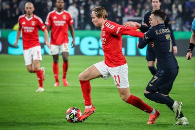 Torino, İtalya. 29 Ocak 2025. UEFA Şampiyonlar Ligi. Juventus Benfica 'ya karşı 0-2. Andreas Schjelderup, Benfica.