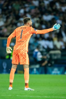 Udine, İtalya. 13 Ağustos 2025. UEFA Süper Kupası 2025. Paris Saint-Germain Tottenham Hotspur 'a karşı 4-3. Guglielmo Vicario, kaleci Tottenham.