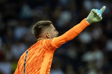 Udine, İtalya. 13 Ağustos 2025. UEFA Süper Kupası 2025. Paris Saint-Germain Tottenham Hotspur 'a karşı 4-3. Guglielmo Vicario, kaleci Tottenham.