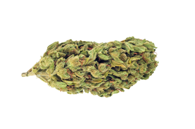 Esrar tomurcuğu şeffaf arkaplanda izole edildi