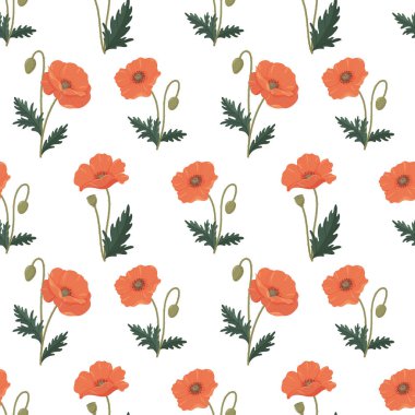 Gelincikler kusursuz vektör deseni. Beyaz zemin üzerinde düz tarzda parlak çeşitli gelincikler.