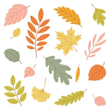 Renkli sonbahar yapraklarının el yapımı koleksiyonu. Akçaağaç, meşe, ginkgo ve diğer sonbahar yaprakları ile düz stile ayarlanmış vektör. Mevsimlik tasarımlar, kartlar, posterler ve kumaşlar için mükemmel..
