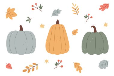 Sonbahar zirvesi balkabakları ve yapraklarla sonbahar kartları, ambalaj ve Şükran Günü süslemeleri için konforlu mevsimlik illüstrasyonlar.