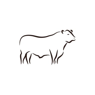Angus sığır ineği bizon çiftlik hayvanı logo tasarımı vektör çizimi