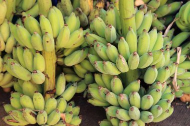 Tayland 'daki yerel pazarda ekilmiş muz satışı..