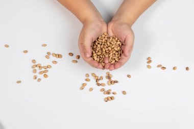 Erkek ellerinin üst görüntüsü aç elini yemek için fasulyeleri tut ya da beyaz izole arkaplana ekmek için tohumları.