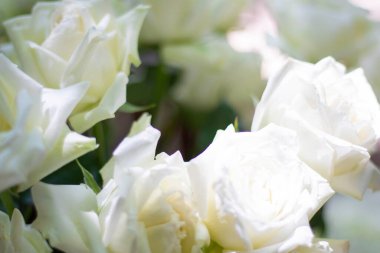 Masada duran vazodaki beyaz güller özel kutlama yıldönümü için / kutlama konsepti için