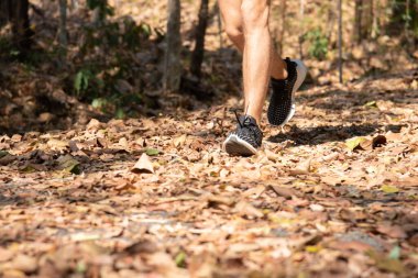 Ayak koşucusunun antrenmanının seçici odak noktası. Maraton koşucusunun ayakkabıları bağcıklarını bağlıyor, orman arazisinde egzersiz yapıyor. Sporcu dayanıklılık parkuru çalışıyor.
