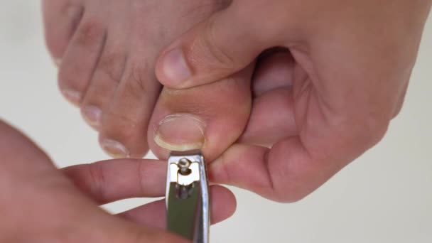 Seorang Pria Memotong Kuku Kakinya Dengan Tang Latar Belakang Putih — Stok Video