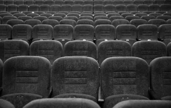 Empty Rows Seats Hall Large Number People Cinema Theatre Hall — Stock Photo, Image
