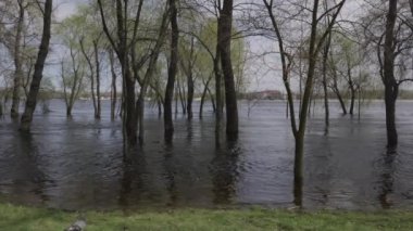 Dnipro Nehri 'ndeki seller ve Kyiv ve Obolon kıyı bölgelerinin sular altında kalması. Ağaçlar suyun içinde.