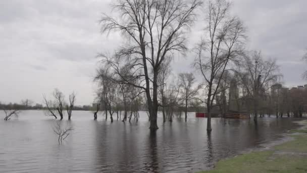 Povodně Řeky Dnipro Záplavy Pobřežních Území Kyjeva Obolonu Stromy Jsou — Stock video