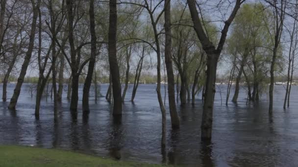 Overstromingen Van Rivier Dnipro Overstromingen Van Kustgebieden Van Kiev Obolon — Stockvideo