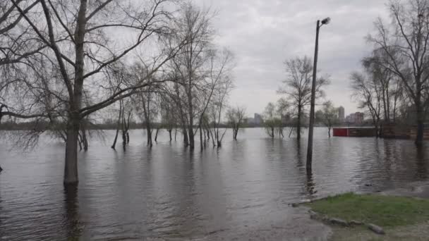 Powodzie Dniepru Zalanie Terenów Przybrzeżnych Kijowa Obolonu Drzewa Wodzie — Wideo stockowe