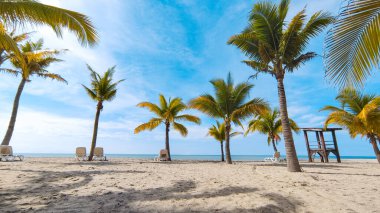Güneşli bir yaz günü, güzel tropikal sahilde palmiye ağaçları ve okyanus manzaralı.