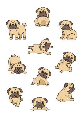 şirin çizgi film pug köpek vektör çizimi