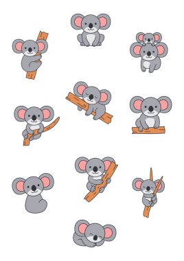 Şirin koala vektör çizimi