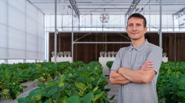 Çilekli hidroponik çiftliğinde silah tutan beyaz adam sera portresi.. 
