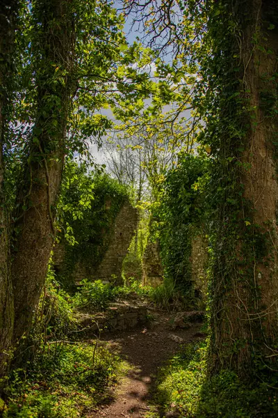 Candleston Şatosu, Bridgend İlçesi Borough, Orta Glamorgan, Güney Galler 