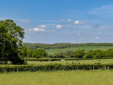 Baharda Galler 'in yeşil alanları