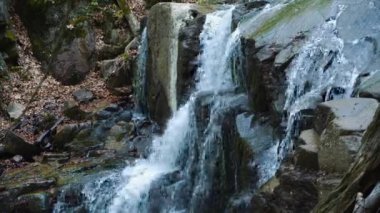 Küçük bir dağ deresi ve şelale görüntülerimizle sakin bir orman vahası keşfedeceğiz. Doğa ve seyahat videoları için mükemmel.