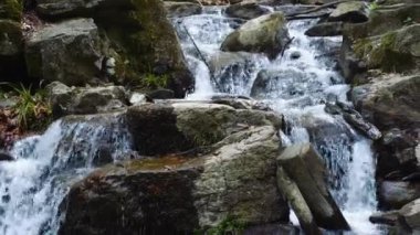Küçük bir dağ deresi ve şelale görüntülerimizle sakin bir orman vahası keşfedeceğiz. Doğa ve seyahat videoları için mükemmel.