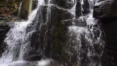 Küçük bir dağ deresi ve şelale görüntülerimizle sakin bir orman vahası keşfedeceğiz. Doğa ve seyahat videoları için mükemmel.
