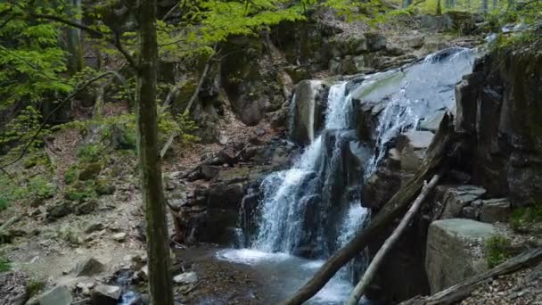 Odkryj Spokojną Oazę Leśną Naszymi Nagraniami Małego Górskiego Potoku Wodospadu — Wideo stockowe