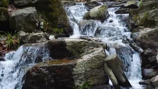 시내와 폭포의 모습이 오아시스를 발견하 십시오 자연에 완벽하고 비디오 — 비디오