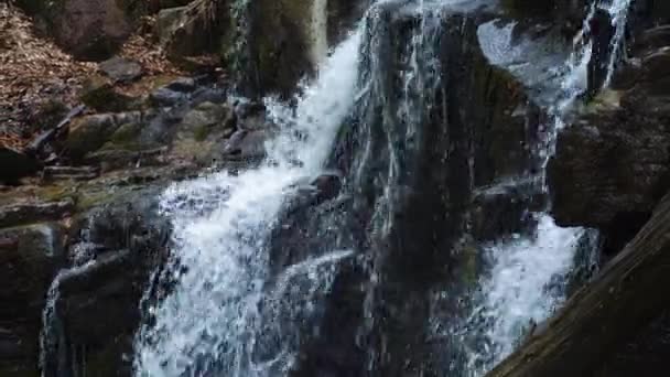 Objevte Klidnou Oázu Lesa Našimi Záběry Malého Horského Potoka Vodopádu — Stock video