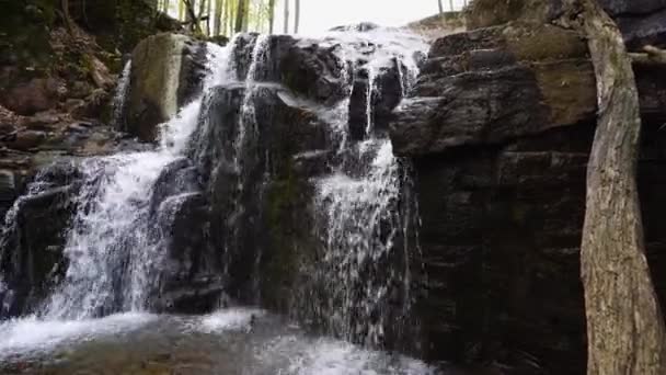Odkryj Spokojną Oazę Leśną Naszymi Nagraniami Małego Górskiego Potoku Wodospadu — Wideo stockowe