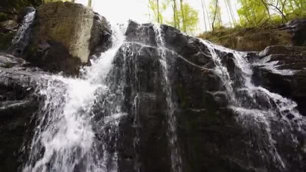 Descubra Tranquilo Oasis Forestal Con Nuestras Imágenes Pequeño Arroyo Montaña — Vídeos de Stock
