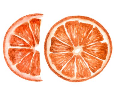 Beyaz Arkaplanda Kuru Portakal Yuvarlak Dilimleri. Noel Baharatı ve Güzel Çevre Dekorasyonu. Duvar kağıdı, afiş, tekstil, kartpostal veya ambalaj kağıdı için el yapımı suluboya çizimi