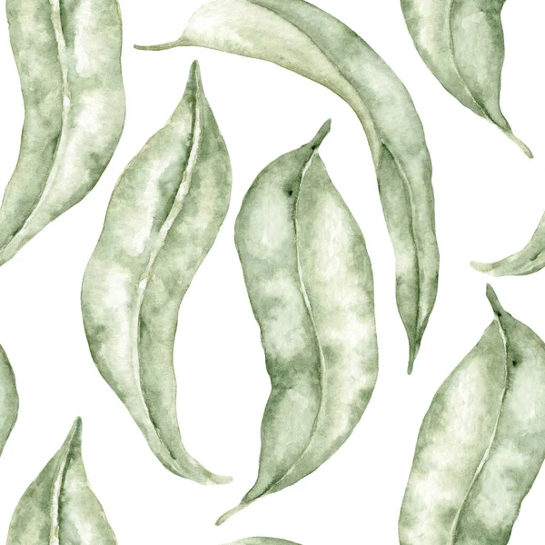 Padrão Aquarela Sem Costura Primavera Bonita Folhas Privet Ilustração Botânica — Fotografia de Stock