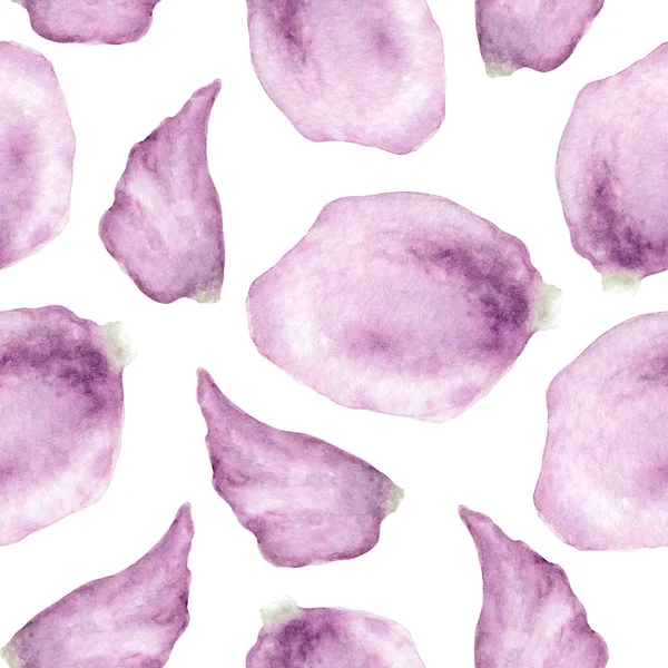 Dusty Purple Rose Watercolor Petals Floral Seamless Pattern. Hand-Drawn Botanical Illustration with Spring Vibes for Wallpaper, Banner, Textile, Postcard or Wrapping Paper