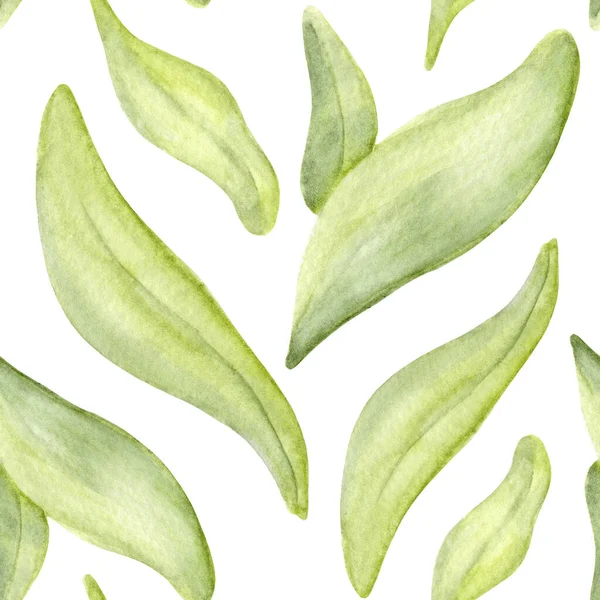 Akvarell Zökkenőmentes Minta Tavaszi Zöld Levelek Felejts Levelek Botanikai Mintája — Stock Fotó