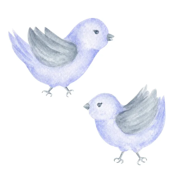 Bir Çift Küçük Suluboya Kuş Lavanta Gri Dekoratif Kuşlar Seti — Stok fotoğraf