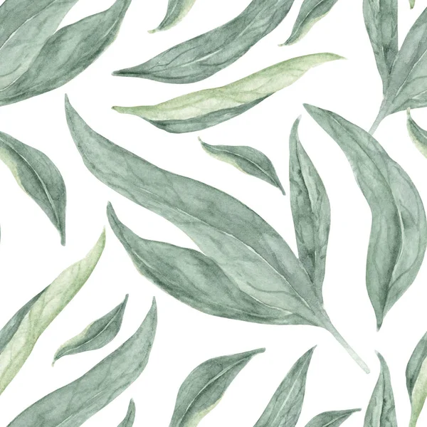 牡丹はシームレスなパターンを残します 湿った水の色で濃い緑色のウェット バナー テキスタイル はがきまたは包装紙のための手描きの植物イラスト ストック写真