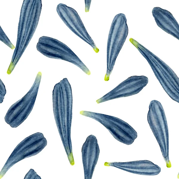 インディゴアフリカデイジー花びらシームレスなパターン 濡れた状態で水の色 バナー テキスタイル はがきまたは包装紙のための手描きの植物イラスト — ストック写真