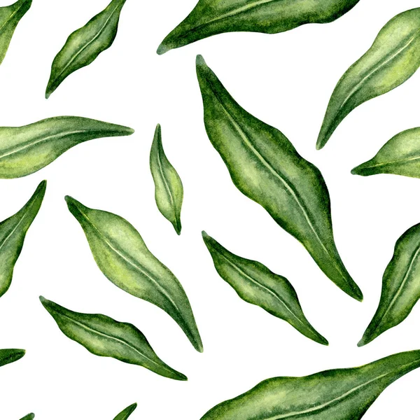 Zöld Levelek Zökkenőmentes Minta Nedves Akvarell Méhvirág Levelek Kézzel Rajzolt — Stock Fotó